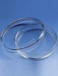 Petri Dish